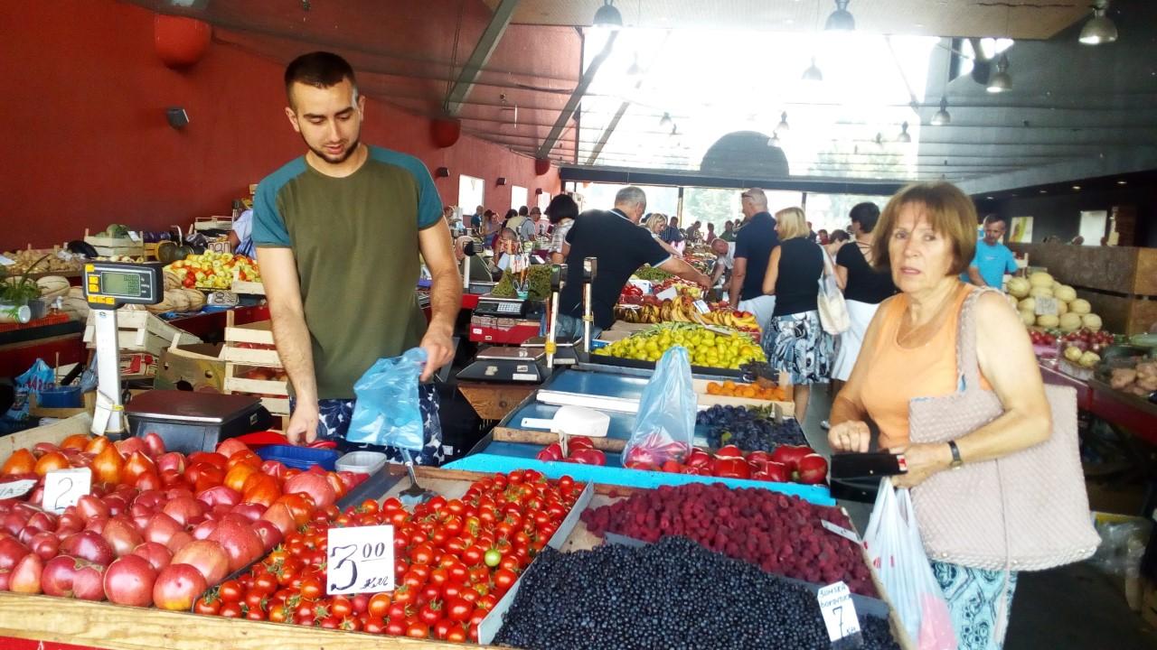 Zornić se žali na gubitke - Avaz