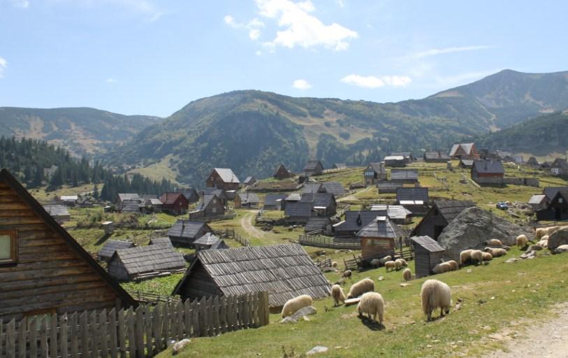 Novi katuni stalno niču na obalama - Avaz