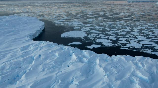 Američki naučnici spašeni sa otoka u blizini Antarktika