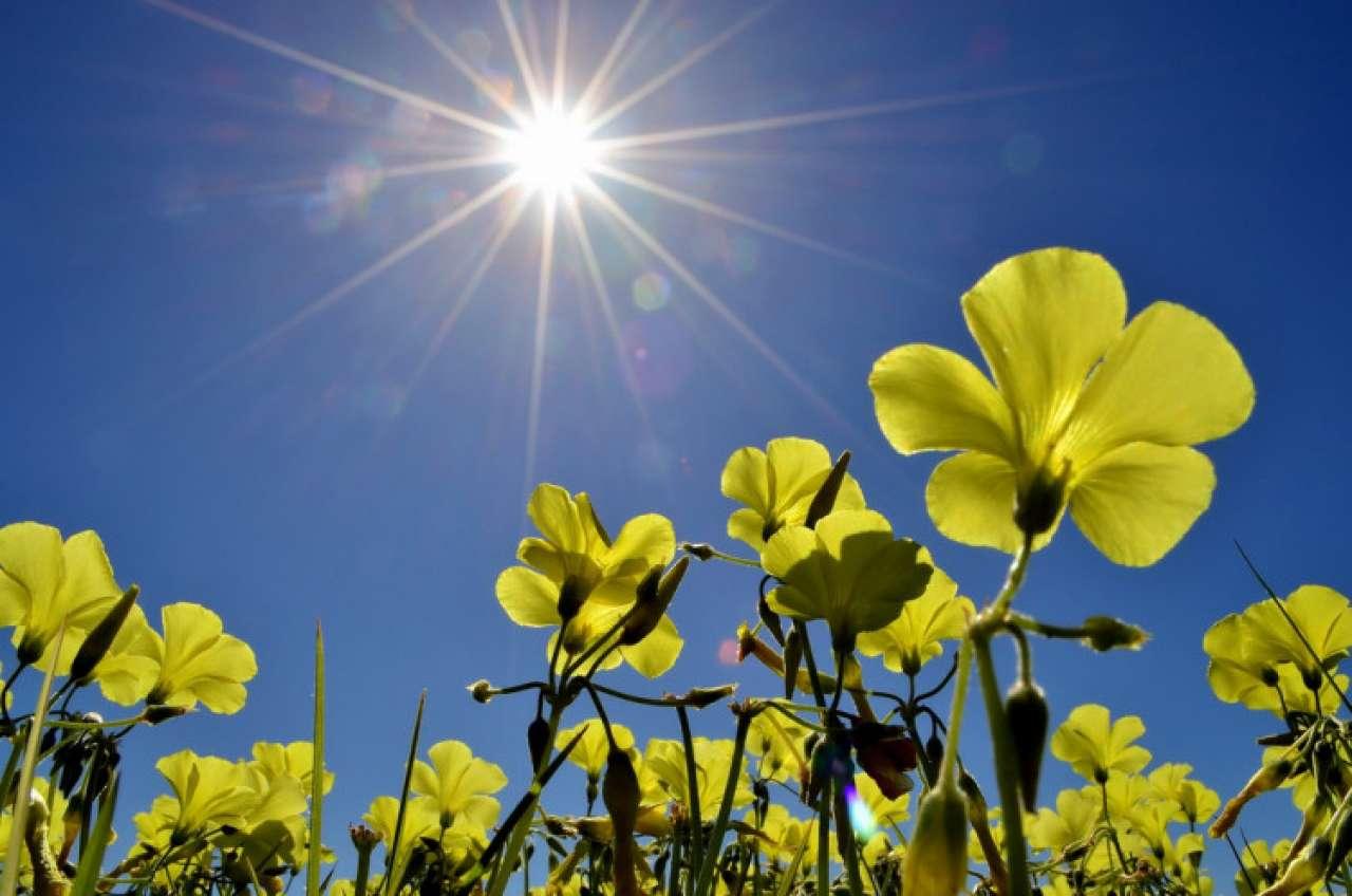 Padaju visoke temperature: Danas sunčano, narednih dana grmljavina i pljuskovi