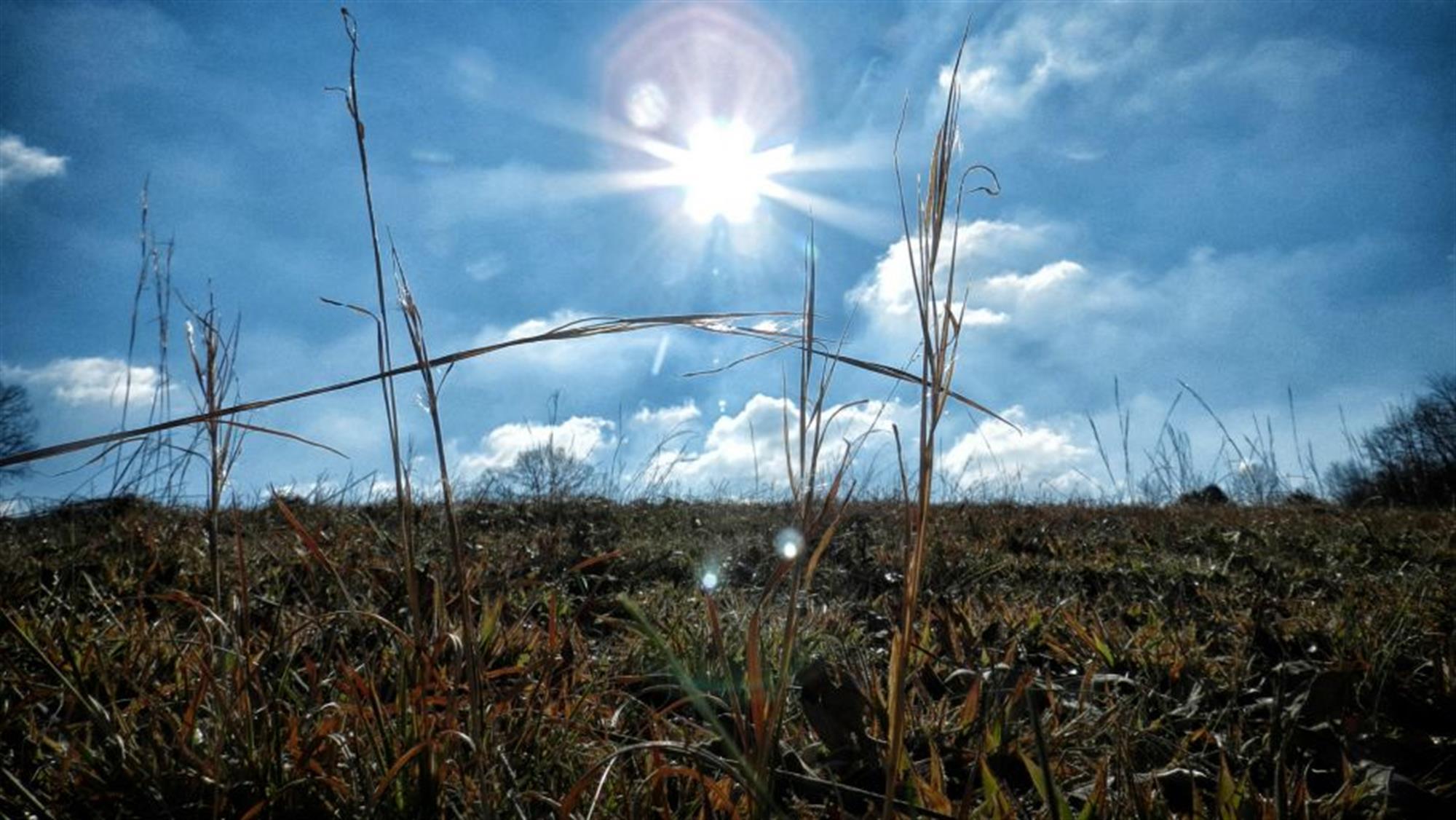 Varljivo ljeto: Kišovito i u narednih nekoliko dana, temperature od srijede do 32 stepena