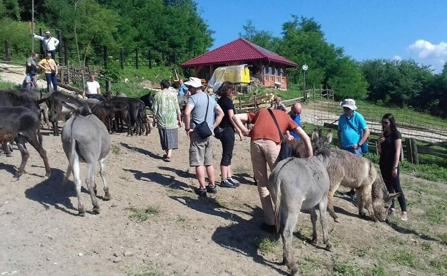 Farma magaraca u Zavidovićima oduševila goste iz regiona: Alen Jusupović perspektivu vidi u turizmu i proizvodnji hrane