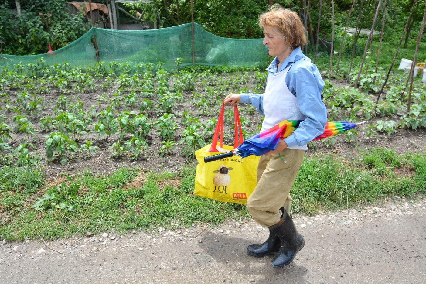 Jovanka bere gljive i prodaje ih u Bratuncu - Avaz