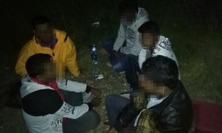 IOM organizirao bajramski ručak za migrante u Cazinu