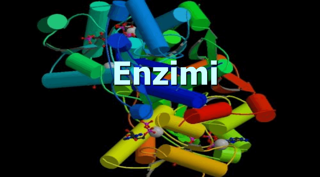 Enzimi – bez njih nema dobre probave