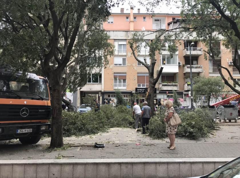 Mostar: Vjetar oborio dio stabla na automobil u pokretu