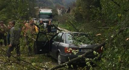 Drvo palo na Audi, dvije osobe lakše povrijeđene