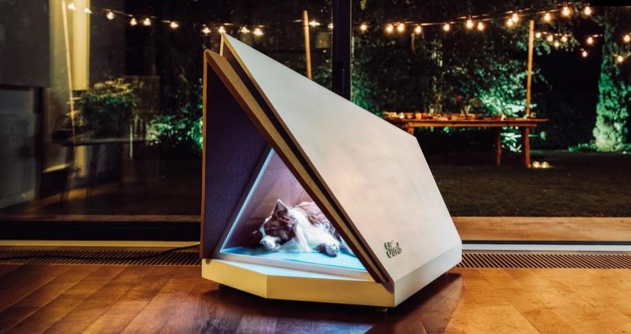 Ford napravio tehnološku kućicu za pse