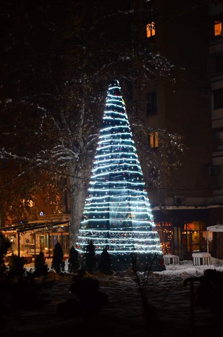 Maglajska jelka je visoka 10 metara - Avaz