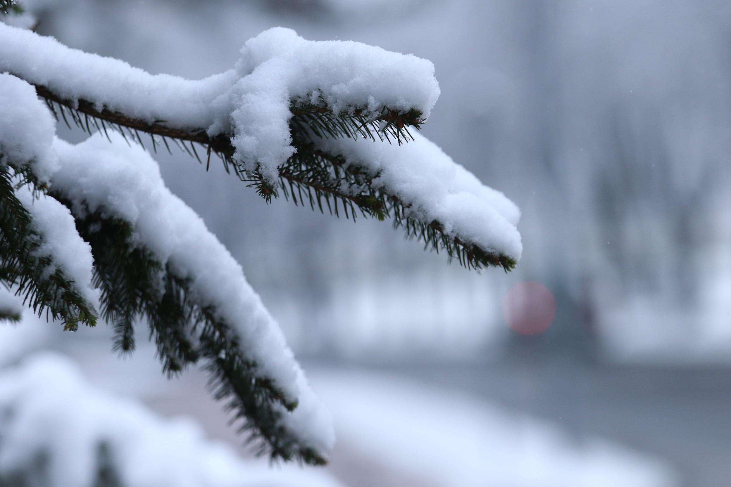 U BiH danas oblačno sa snijegom, temperature do -6 stepeni