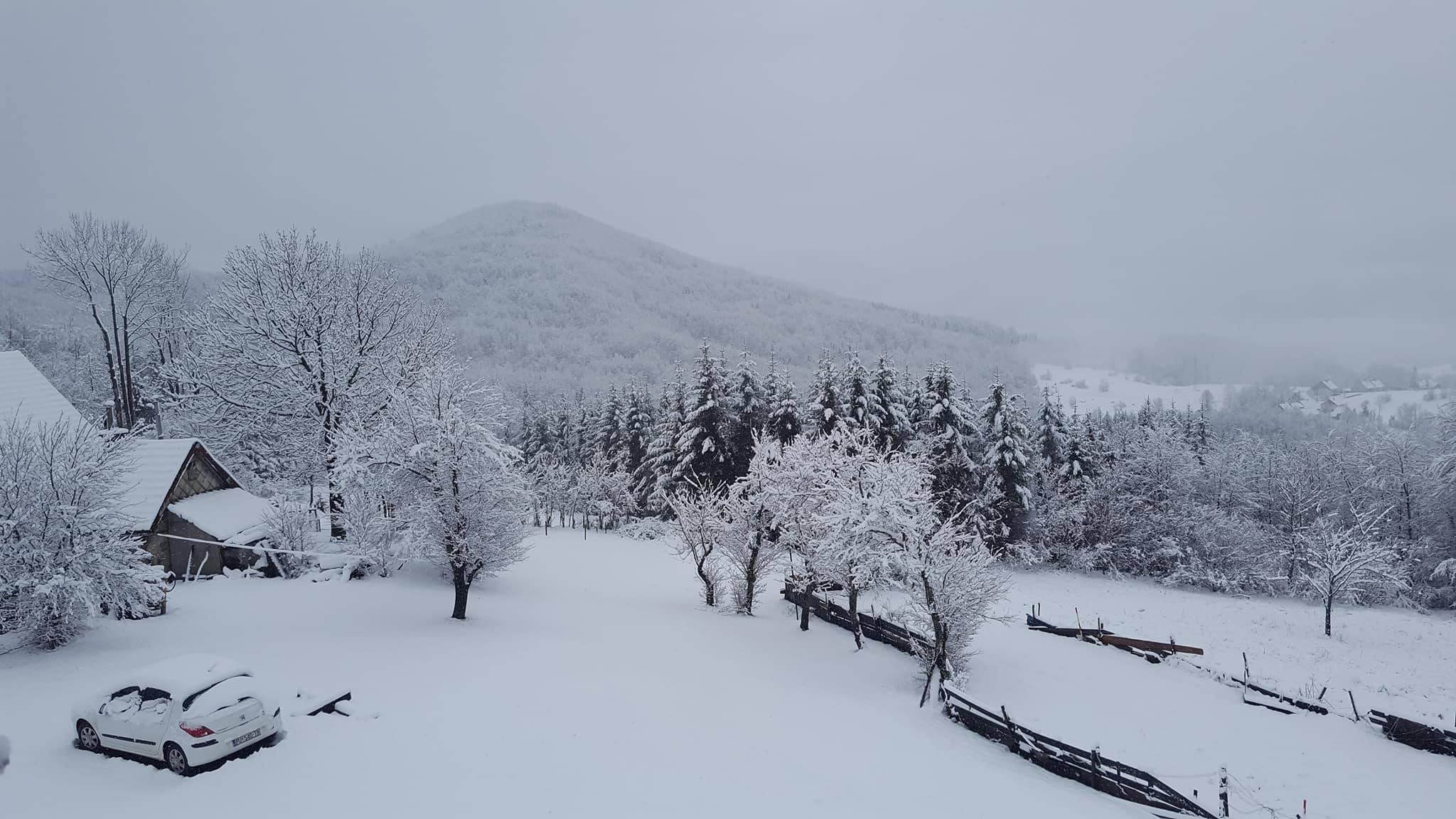 U blizini sela Crkveno vukovi rastrgali tijelo muškarca - Avaz