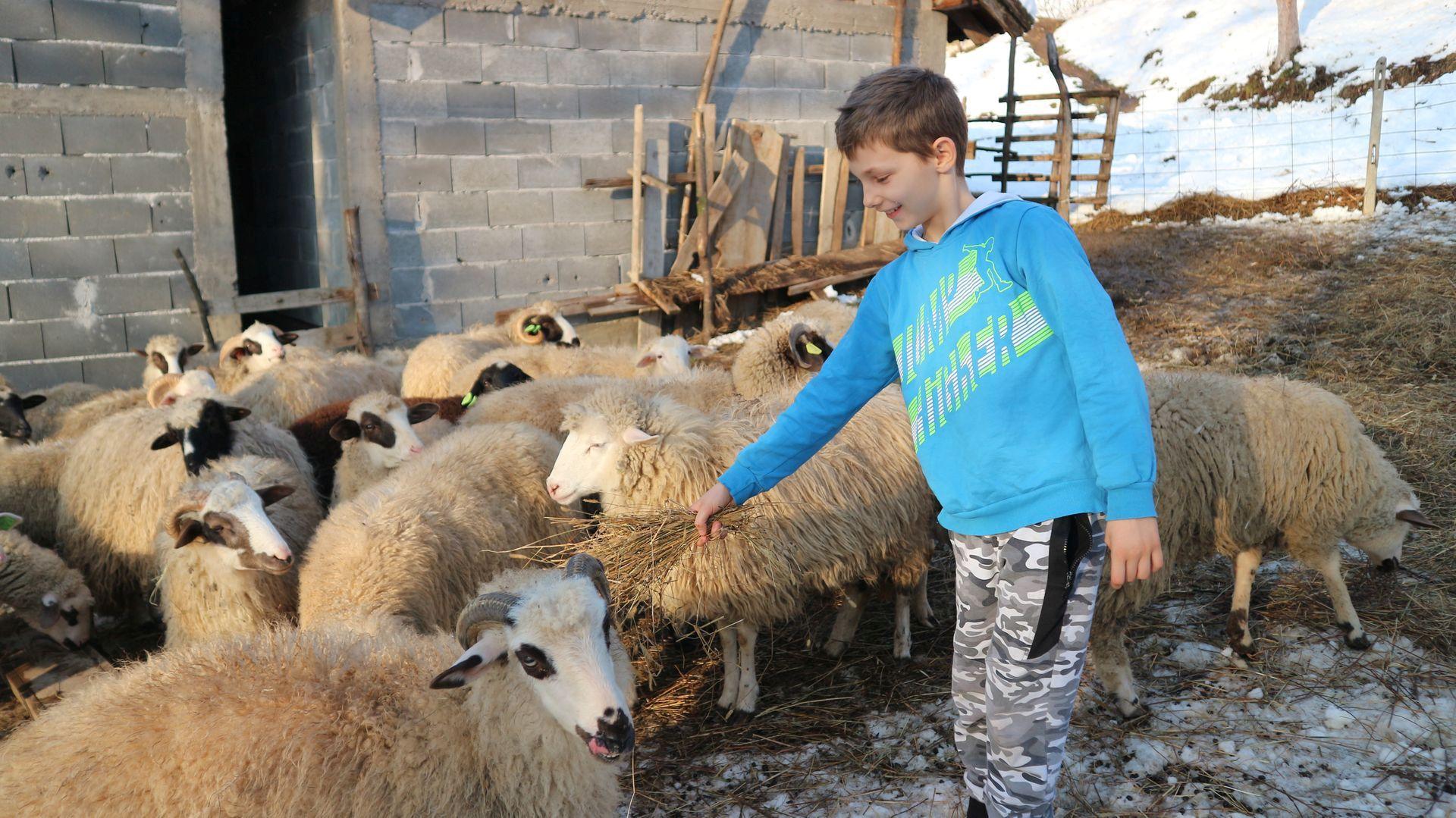 Bit ću najveći farmer u svom selu, regiji i BiH - kazuje  Amer - Avaz