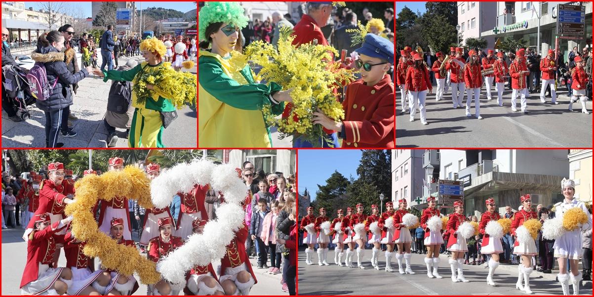 Miris mimoze stigao iz Herceg-Novog u Trebinje