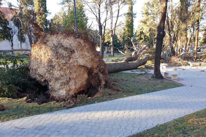 Velike štete u Trebinju - Avaz