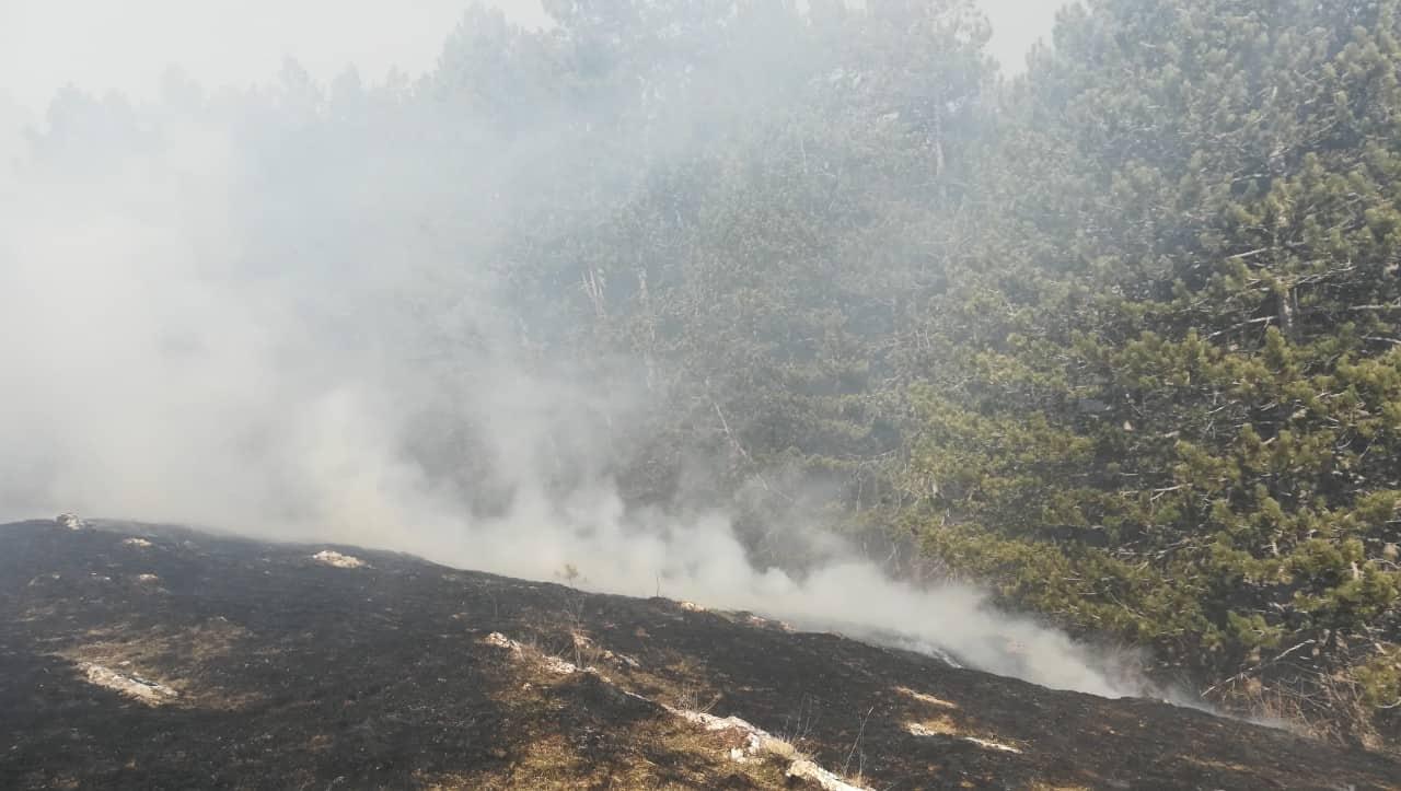 Na području općine Gacko aktivna četiri požara - Avaz