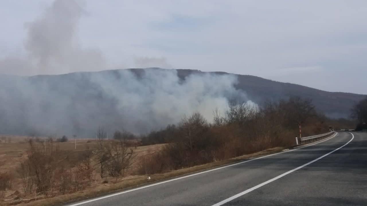 Vatra zahvatila veći dio šume - Avaz