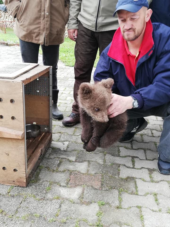 Pionirska dolina bogatija za bebu medvjedicu Aidu