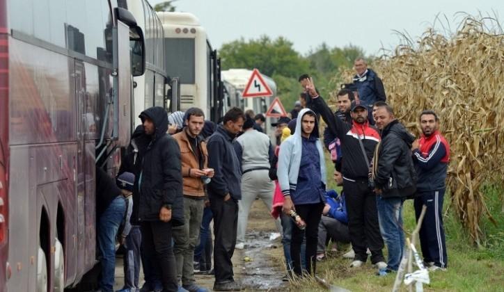 Područje oko Bijeljine i Zvornika važna raskrsnica za migrante - Avaz