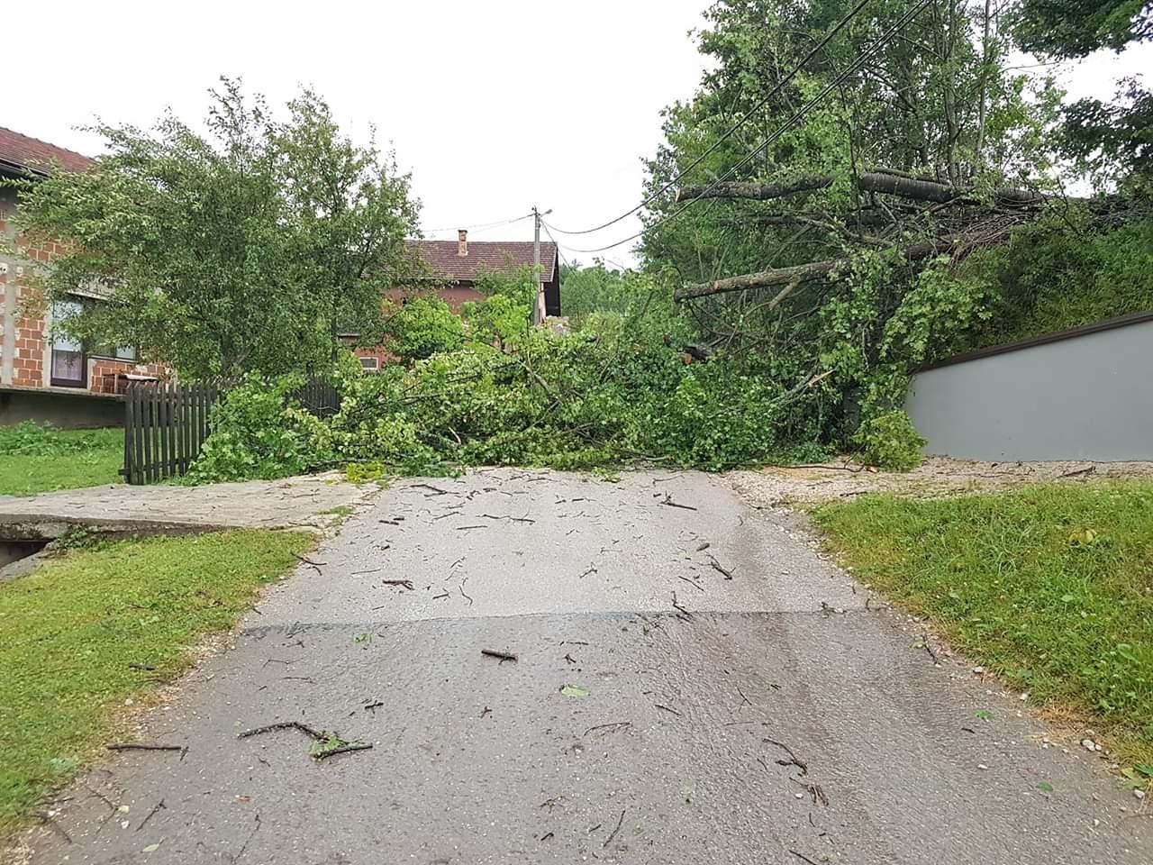 Detalj iz Vrbanje, grane na mjesnom putu - Avaz