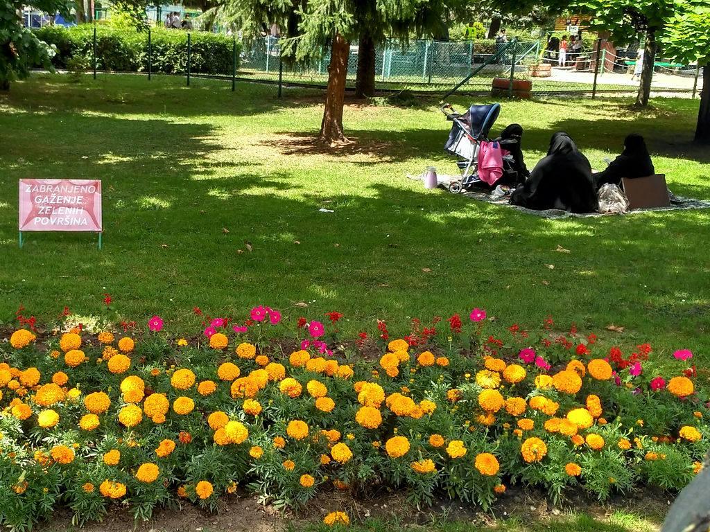 Nemarno ponašanje turista u Pionirskoj dolini izazvalo oštru reakciju građana