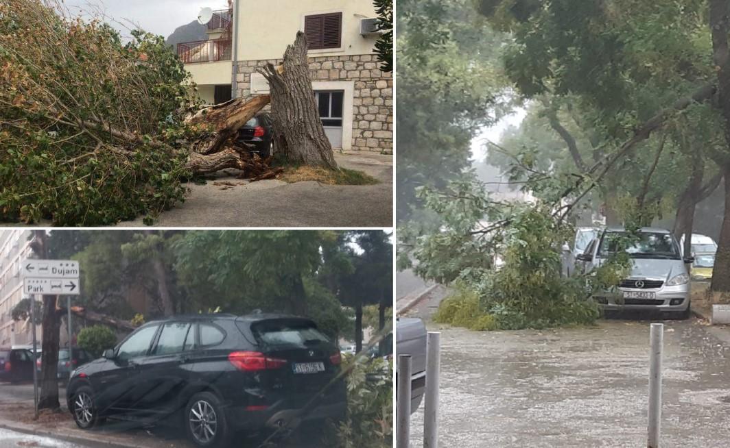 Jako nevrijeme zahvatilo Dalmaciju: Bura lomila grane i čupala iz korijena čitava stabla