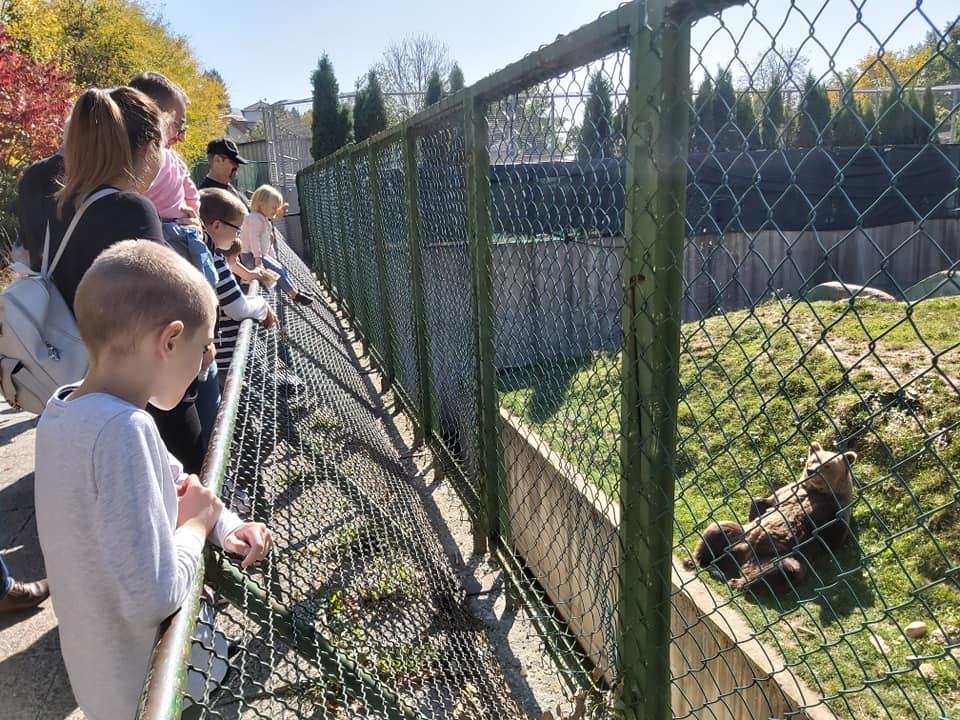 Popularna Pionirska dolina otvorena je svaki dan za posjetioce - Avaz