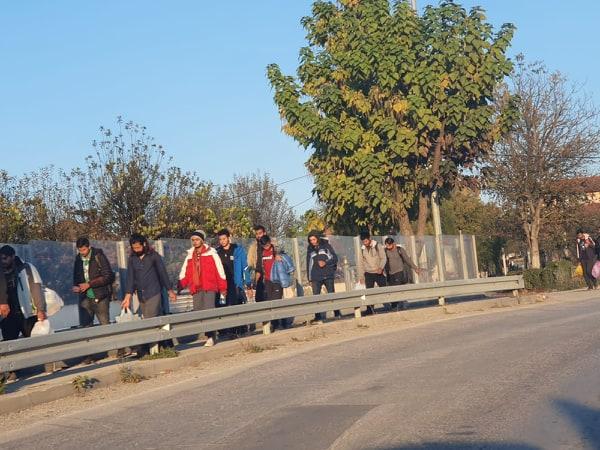 Oko 100 migranata bez ikakvog nadzora iz Cazina ide ka Velikoj Kladuši