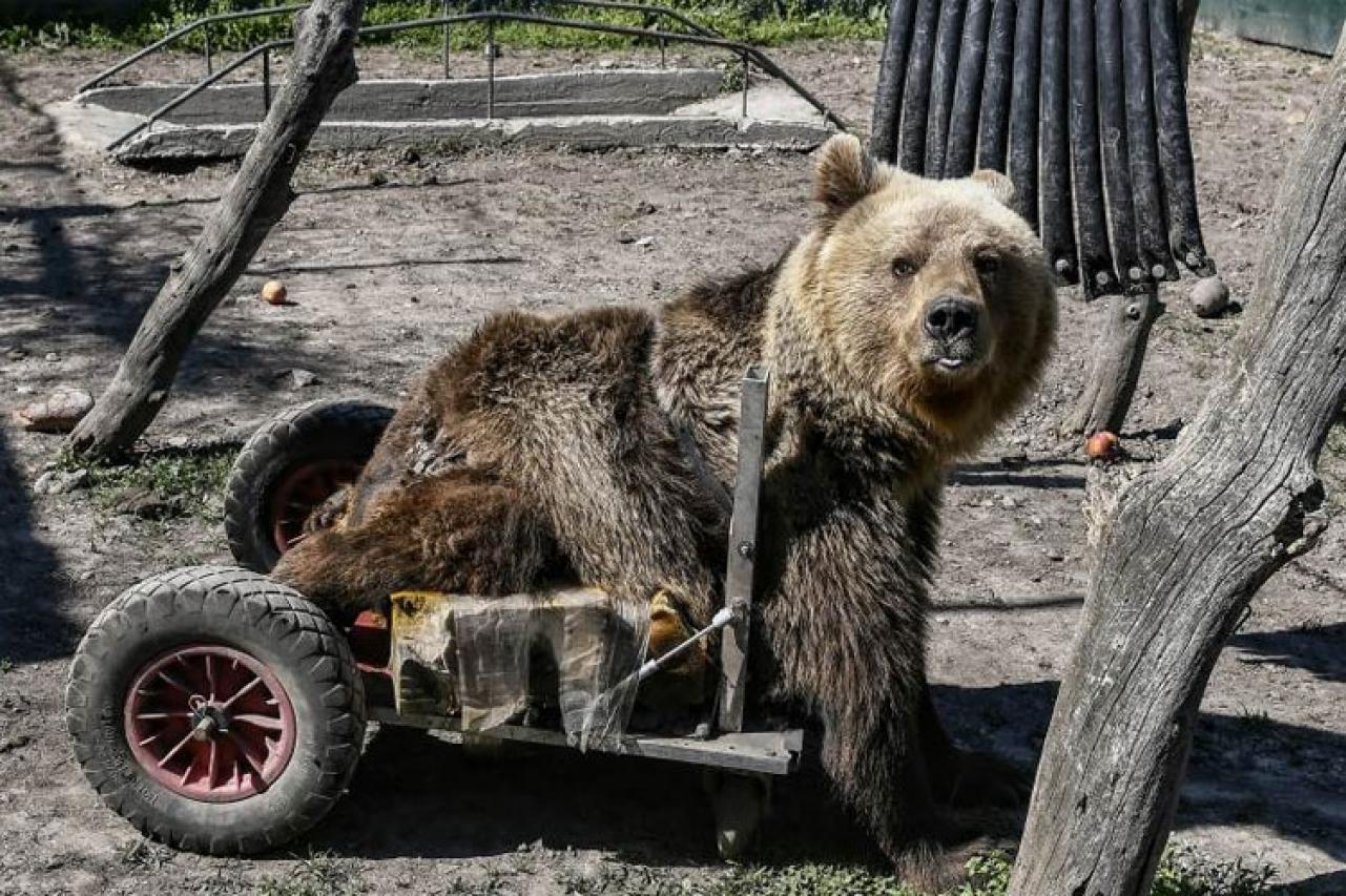 Pronađen 2015. godine u Sjevernoj Makedoniji - Avaz