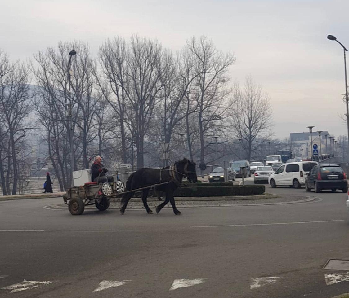 Zeničanin bez pardona upravljao konjskim kolima - Avaz