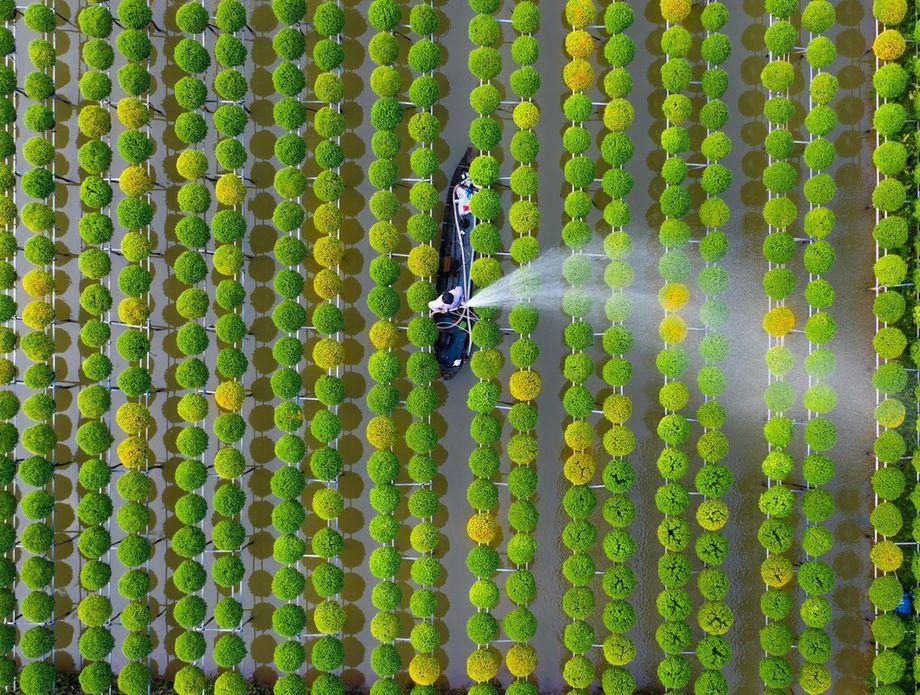 Nestvarno selo vječnog proljeća koje zimi posjete milioni ljudi