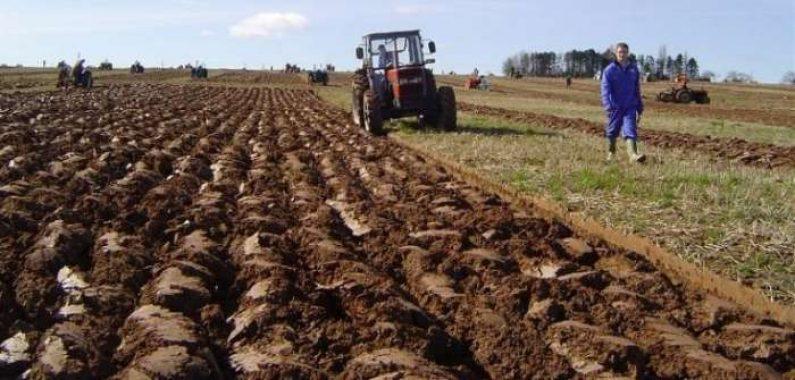 Bićo: Nećemo moći prehraniti građane ukoliko se obustavi uvoz hrane