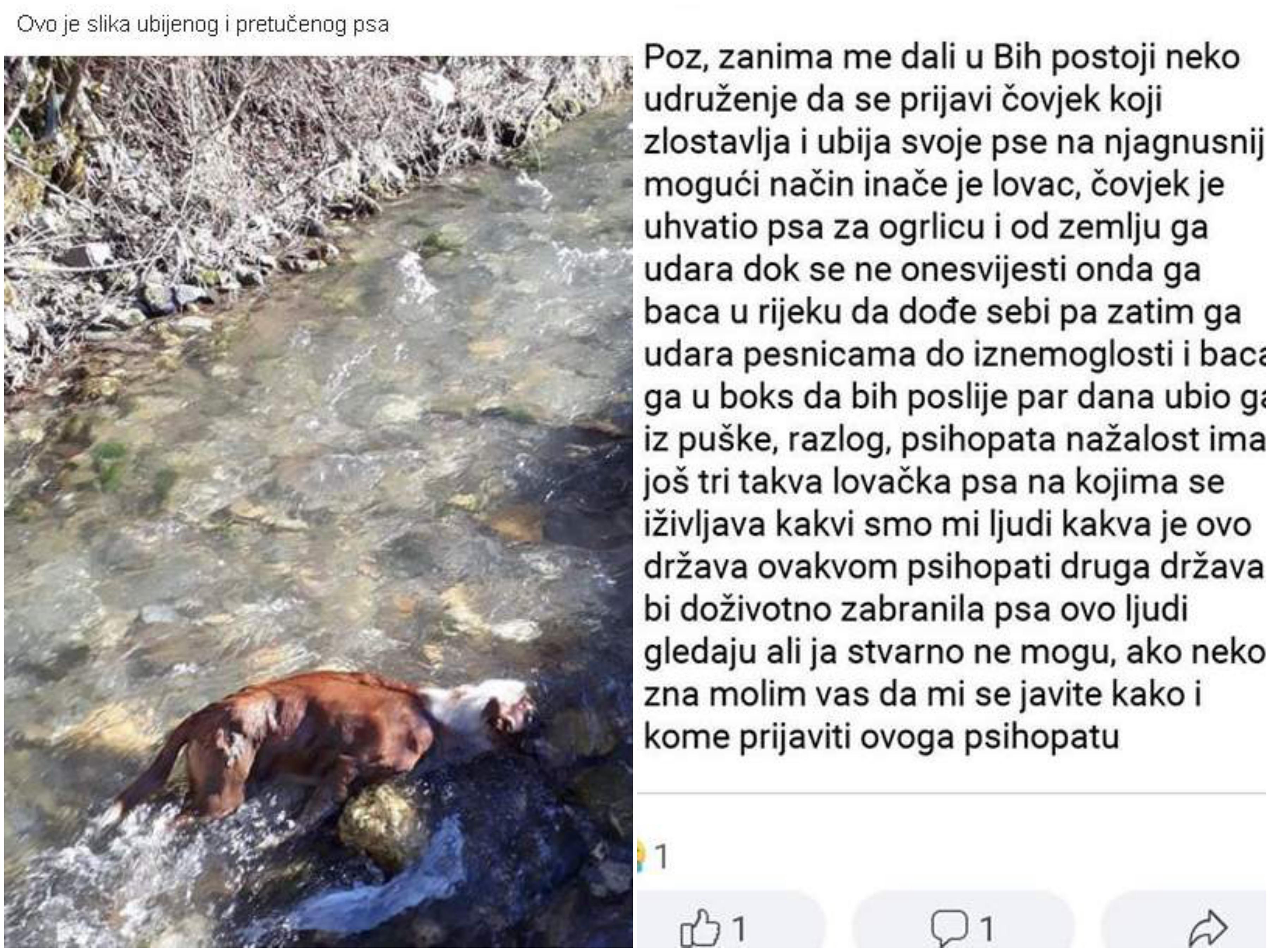 Ubio psa: Lovac prijeti smrću aktivistici koja ga je prijavila