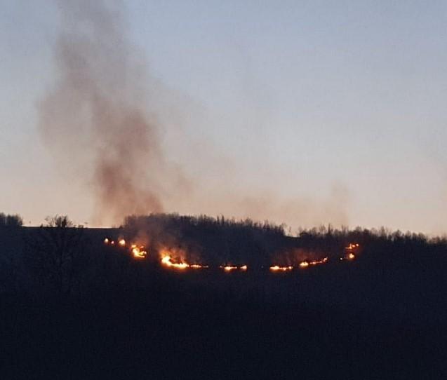 Između Visokog i Podlugova gori šuma