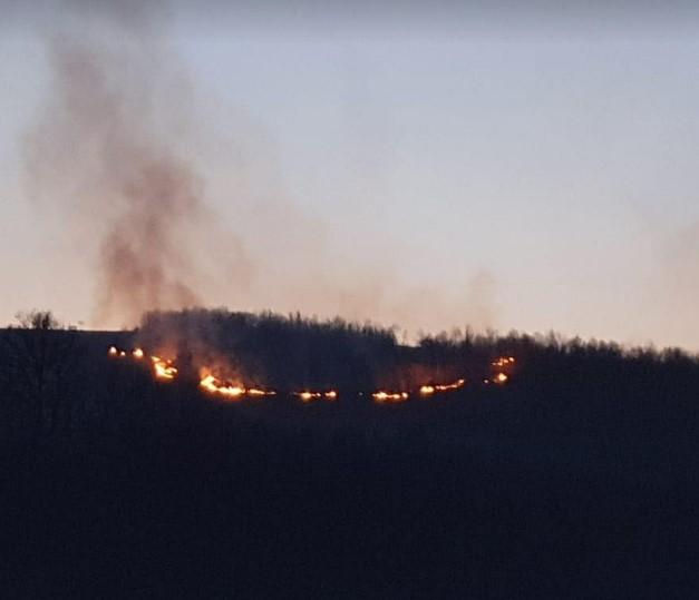 Gori šuma - Avaz