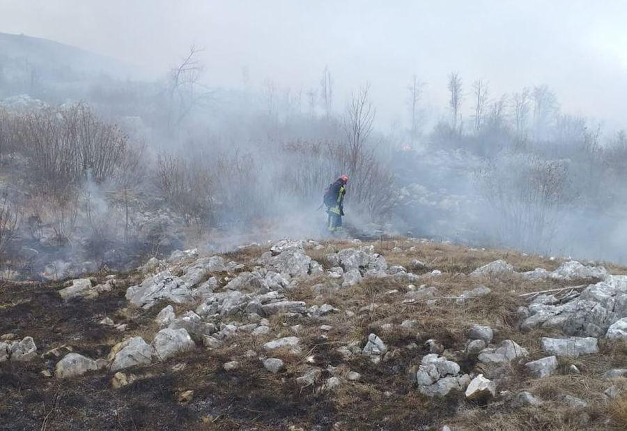 Vatrogasci ugasili požar na Ivoviku - Avaz