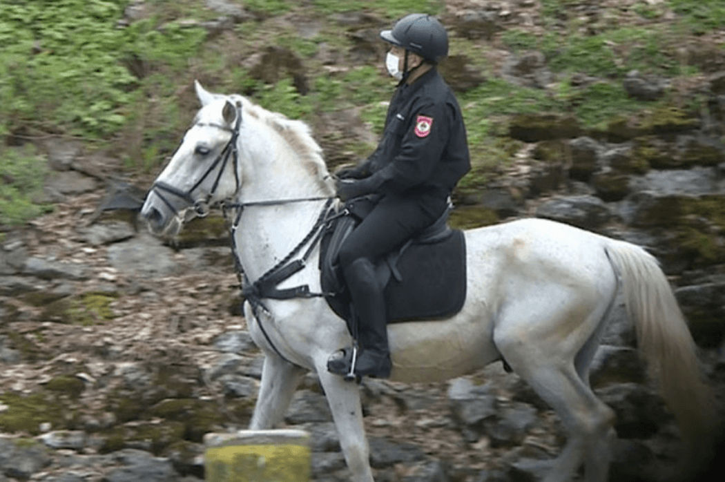 Kontrola izletišta i parkova - Avaz