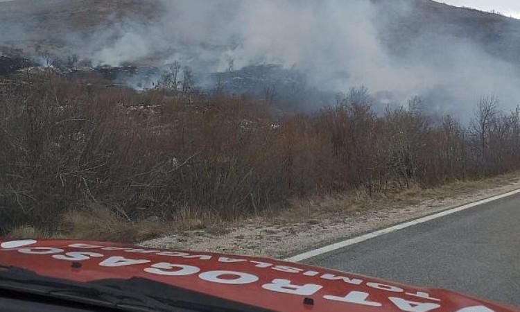 Vatrogasci vjeruju da neko namjerno podmeće požare - Avaz