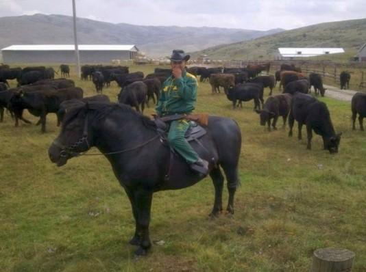 Najviše novca dodijeljeno za animalnu proizvodnju - Avaz