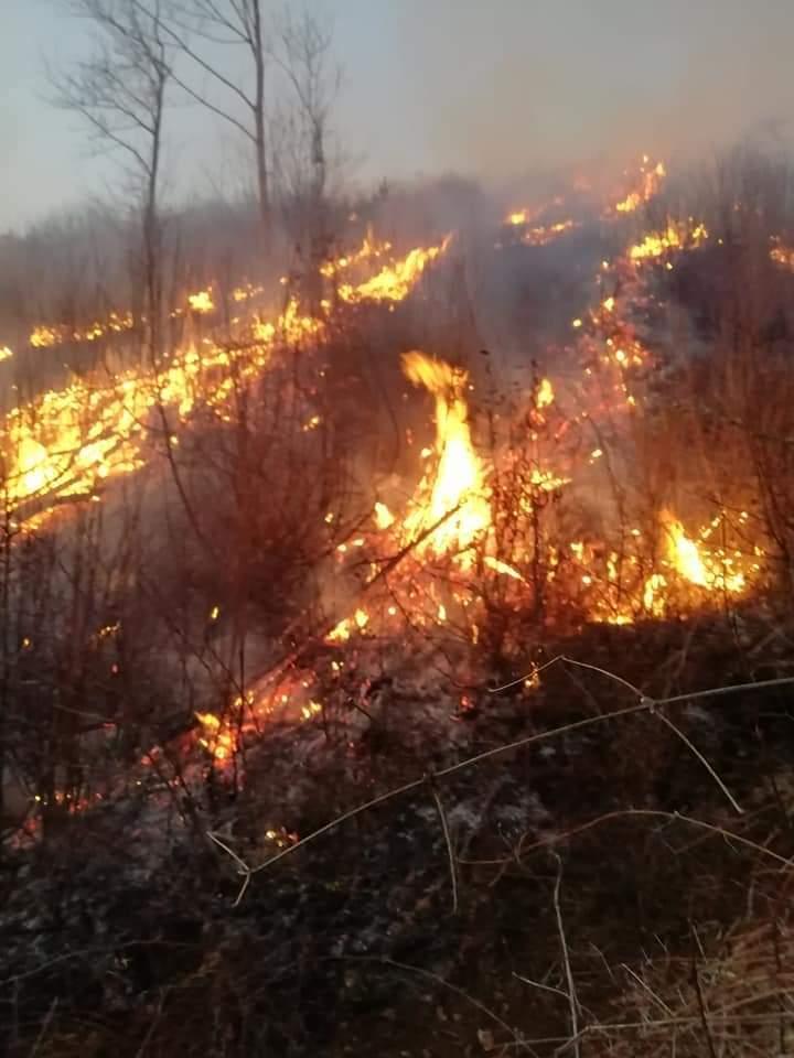 Opožarena je površina od skoro 7, 5 hektara - Avaz