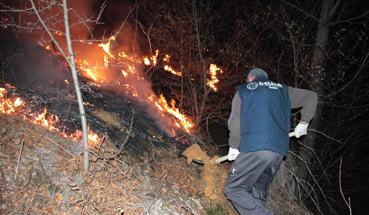 Vjetar otežavao gašenje požara - Avaz