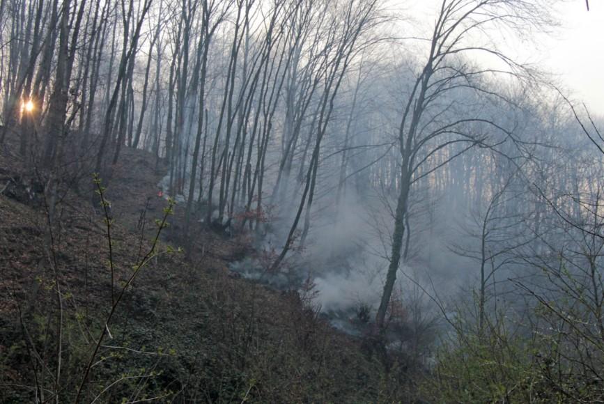 Tužilaštvo TK obavit će uviđaj - Avaz