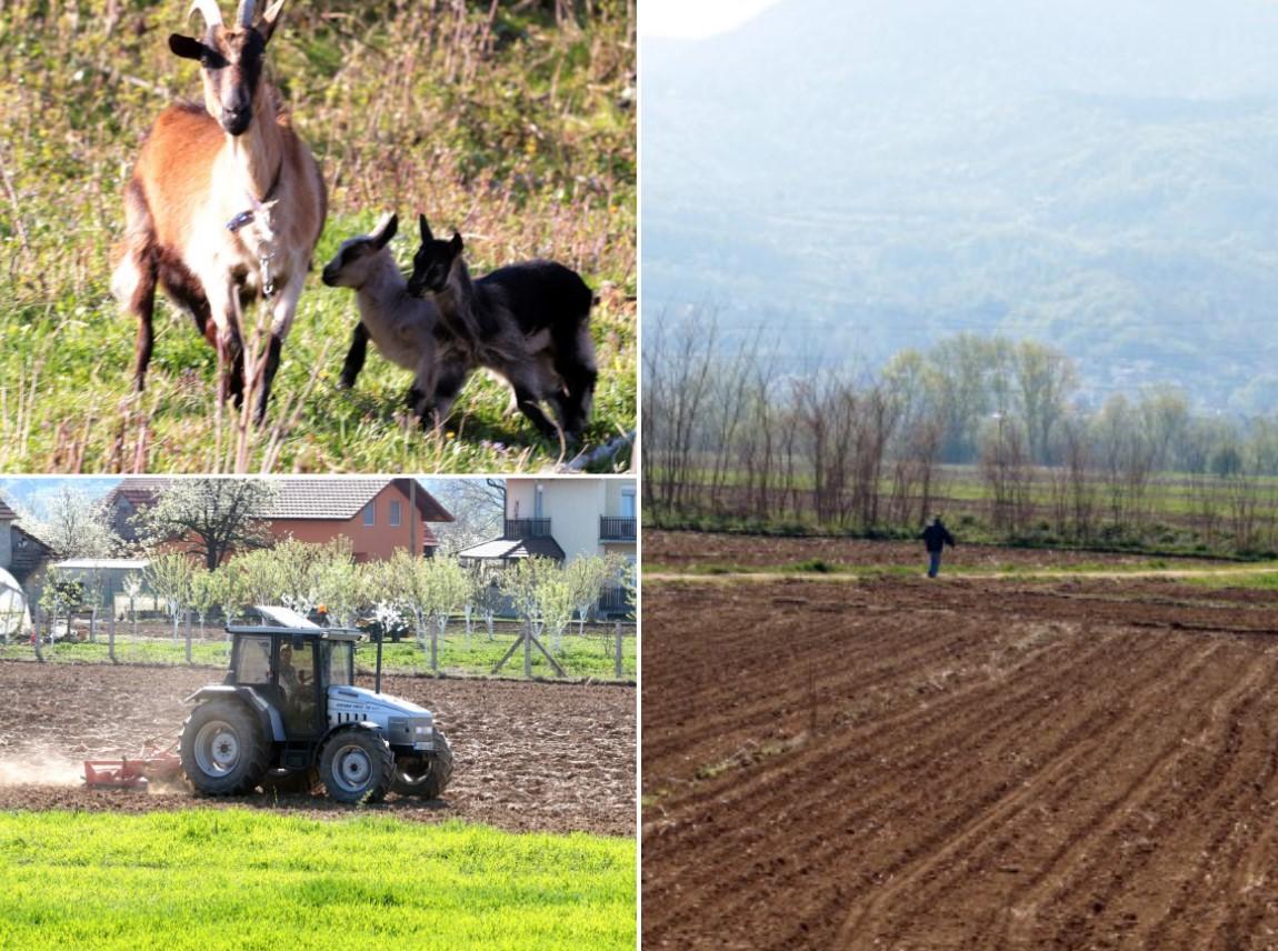 Reporteri "Avaza" u Podrinju: Polja u donjem toku rijeke Drine uzorana i zasijana