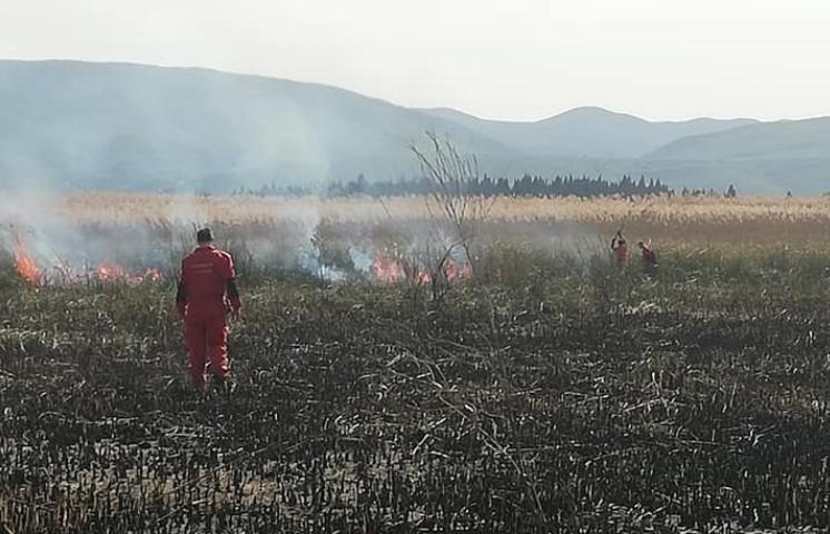 Opet gori Hutovo blato