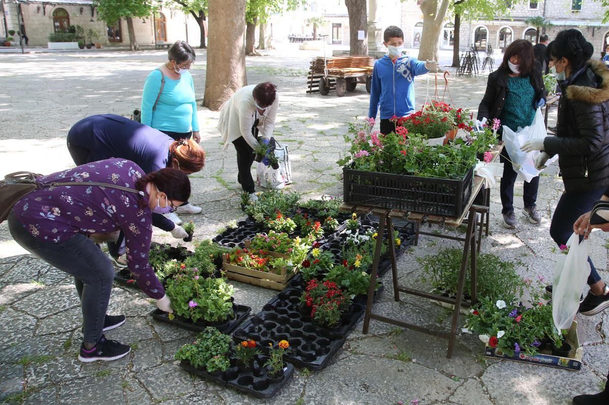 U ovom bh. gradu nema čekanja: Počela s radom zelena pijaca