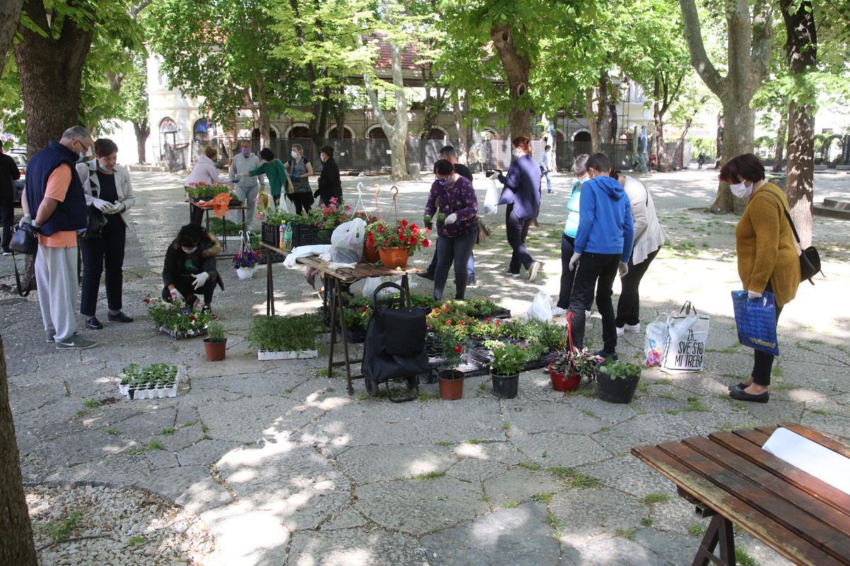 Sunce izmamilo građane na ulice - Avaz