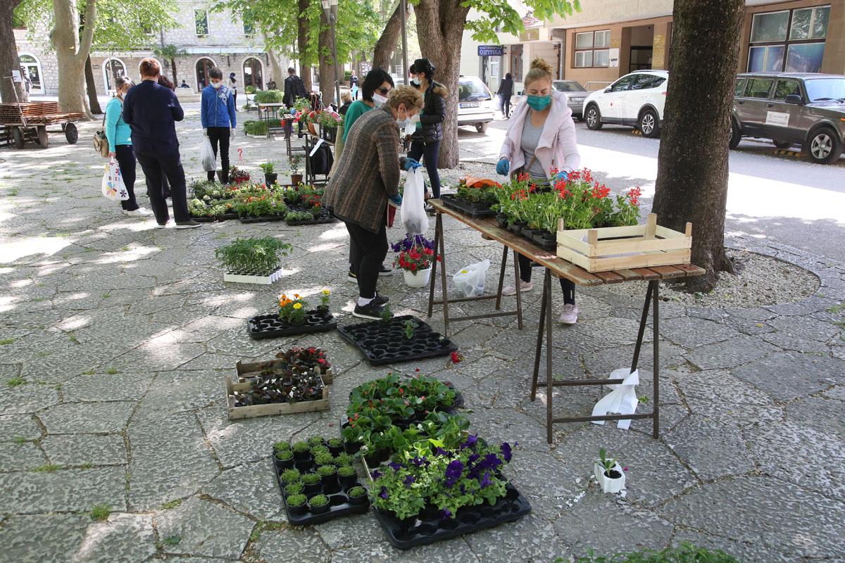 Veliki izbor na zelenoj pijaci - Avaz