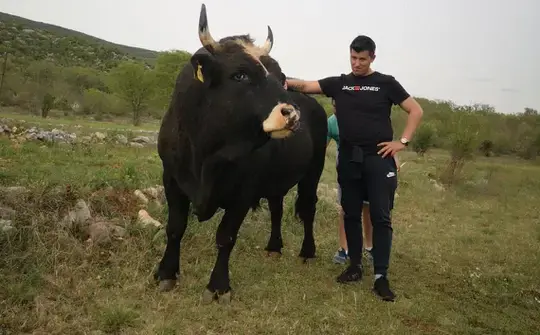 Bik se prije zvao Žabac - Avaz