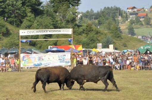 Besim Gljiva: Otkazujemo koridu na Čevljanovićima zbog koronavirusa