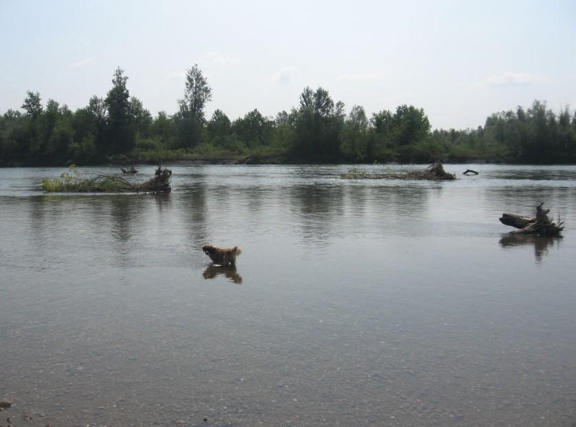 Drina odnijela dva života - Avaz