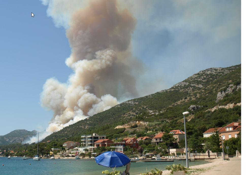 U Kućištu buknuo požar u borovoj šumi - Avaz